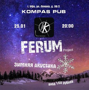 25.01  FErumProject  зимняя акустика в Компасе