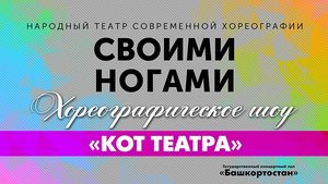 Хореографическое шоу «Кот театра»