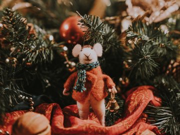 Тайна волшебной звезды