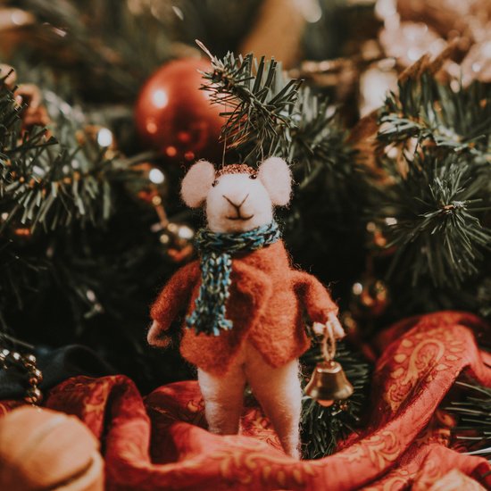 Тайна волшебной звезды