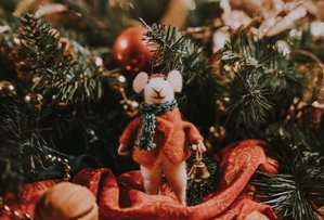 Тайна волшебной звезды