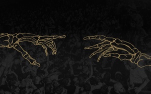 Реюнион фест