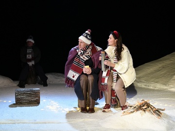 Рождественская история