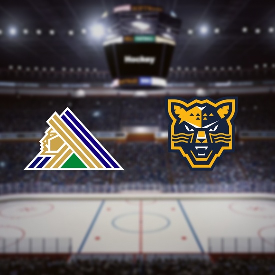 Салават Юлаев — Сочи