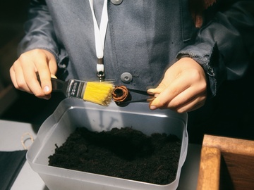 Sciencely. Археология