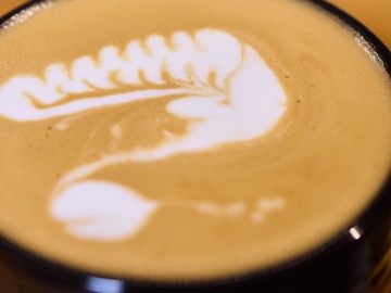 Теория по кофе + дегустация