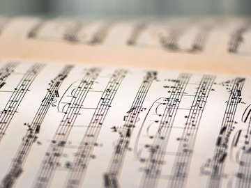 Вселенная Моцарта