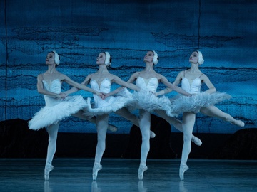 Лебединое озеро