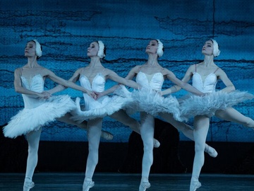 Лебединое озеро