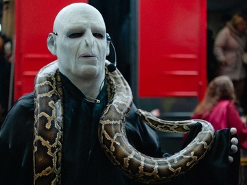 Поезд «Магический экспресс»