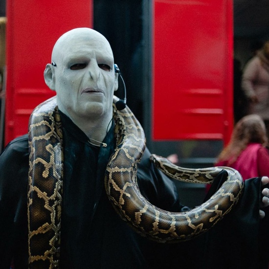 Поезд «Магический экспресс»