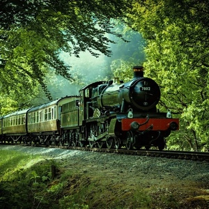 Поезд «Магический экспресс»