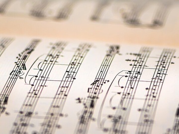 Венский вечер